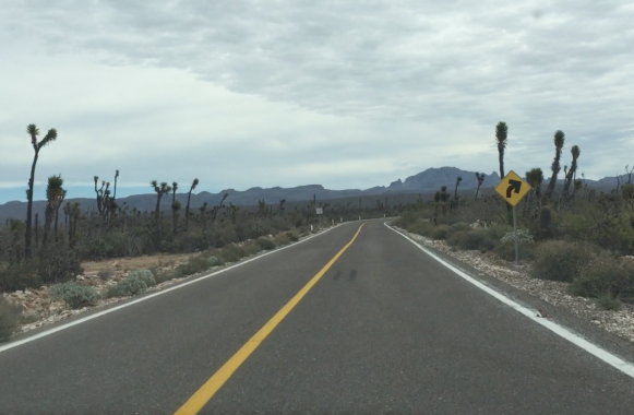 La Carretera Transpeninsular della Baja California - foto di Blue Lama